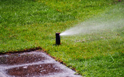 July is Smart Irrigation Month